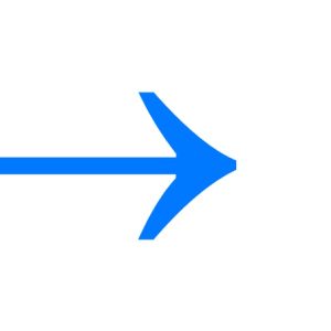 Логотип Кикшеринг lite