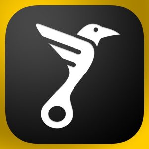 Логотип Каршеринг Voron